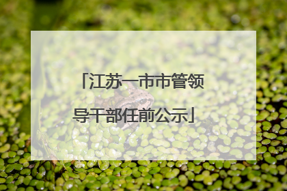江苏一市市管领导干部任前公示