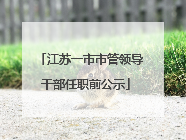 江苏一市市管领导干部任职前公示