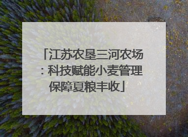 江苏农垦三河农场：科技赋能小麦管理保障夏粮丰收