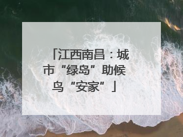 江西南昌：城市“绿岛”助候鸟“安家”