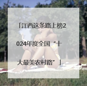 江西这条路上榜2024年度全国“十大最美农村路”