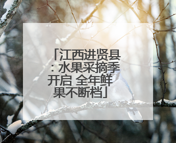 江西进贤县：水果采摘季开启 全年鲜果不断档