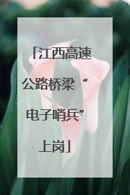 江西高速公路桥梁“电子哨兵”上岗