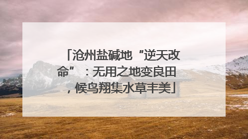 沧州盐碱地“逆天改命”：无用之地变良田，候鸟翔集水草丰美