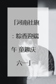 河南社旗：粽香迎端午 童趣庆六一