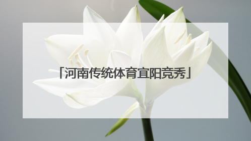 河南传统体育宜阳竞秀