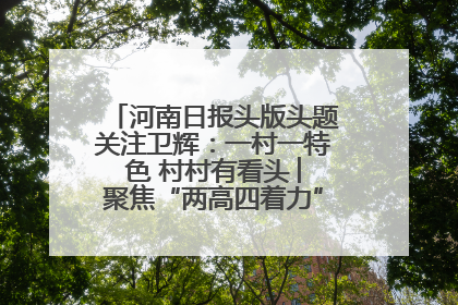 河南日报头版头题关注卫辉：一村一特色 村村有看头 ︳聚焦“两高四着力”·一“县”观察