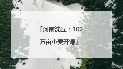 河南沈丘：102 万亩小麦开镰