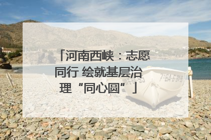 河南西峡：志愿同行 绘就基层治理“同心圆”