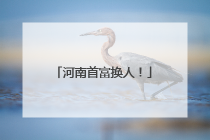 河南首富换人！