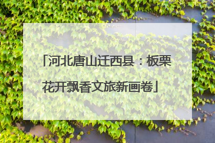 河北唐山迁西县：板栗花开飘香文旅新画卷