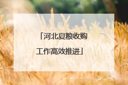 河北夏粮收购工作高效推进