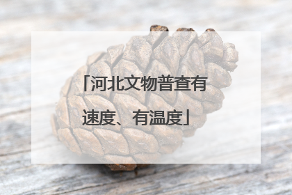 河北文物普查有速度、有温度