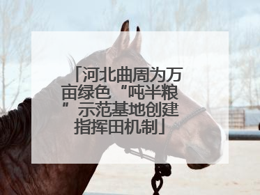 河北曲周为万亩绿色“吨半粮”示范基地创建指挥田机制