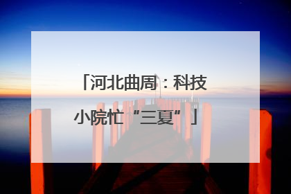 河北曲周：科技小院忙“三夏”