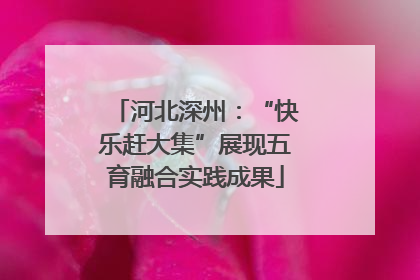 河北深州：“快乐赶大集”展现五育融合实践成果