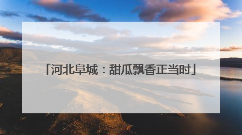 河北阜城：甜瓜飘香正当时