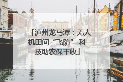 泸州龙马潭：无人机田间“飞防” 科技助农保丰收