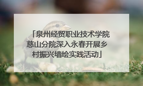 泉州经贸职业技术学院慈山分院深入永春开展乡村振兴墙绘实践活动