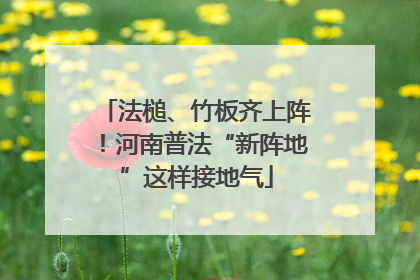 法槌、竹板齐上阵！河南普法“新阵地”这样接地气