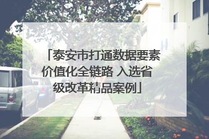 泰安市打通数据要素价值化全链路 入选省级改革精品案例