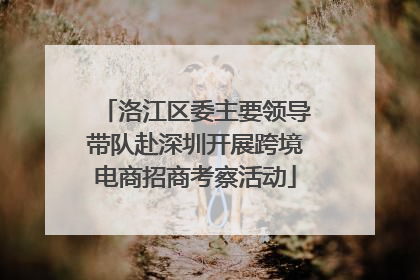 洛江区委主要领导带队赴深圳开展跨境电商招商考察活动