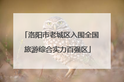 洛阳市老城区入围全国旅游综合实力百强区