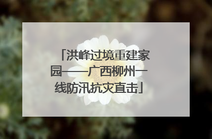 洪峰过境重建家园——广西柳州一线防汛抗灾直击