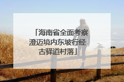 海南省全面考察澄迈境内东坡行经古驿道村落