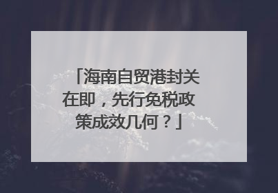 海南自贸港封关在即，先行免税政策成效几何？