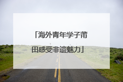 海外青年学子莆田感受非遗魅力