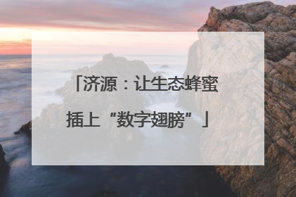 济源：让生态蜂蜜插上“数字翅膀”