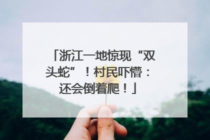 浙江一地惊现“双头蛇”！村民吓懵：还会倒着爬！