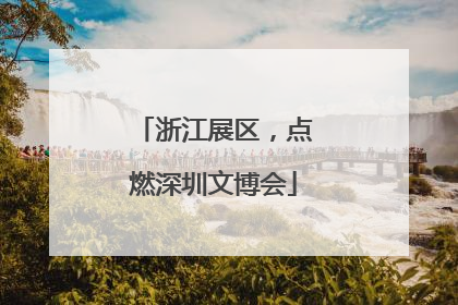 浙江展区，点燃深圳文博会
