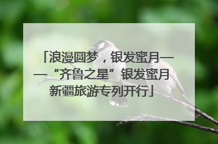 浪漫圆梦，银发蜜月——“齐鲁之星”银发蜜月新疆旅游专列开行