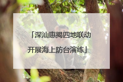 深汕惠揭四地联动开展海上防台演练