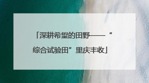 深耕希望的田野——“综合试验田”里庆丰收