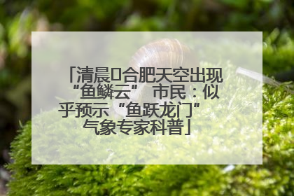 清晨﻿合肥天空出现“鱼鳞云” 市民：似乎预示“鱼跃龙门” 气象专家科普
