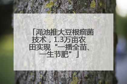 渑池推大豆根瘤菌技术，1.3万亩农田实现“一播全苗、一生节肥”