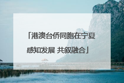 港澳台侨同胞在宁夏感知发展 共叙融合
