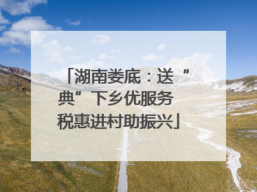 湖南娄底：送“典”下乡优服务 税惠进村助振兴