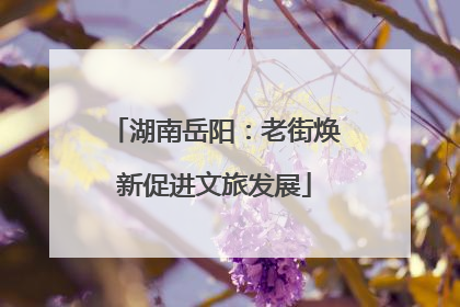 湖南岳阳：老街焕新促进文旅发展