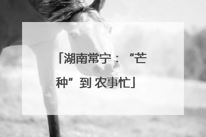 湖南常宁：“芒种”到 农事忙