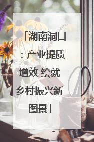 湖南洞口：产业提质增效 绘就乡村振兴新图景
