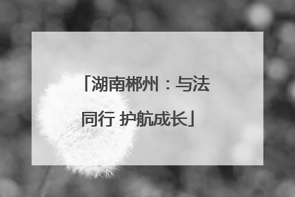 湖南郴州：与法同行 护航成长