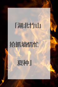 湖北竹山抢抓墒情忙夏种