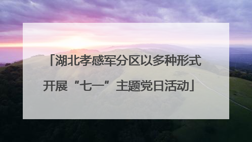 湖北孝感军分区以多种形式开展“七一”主题党日活动