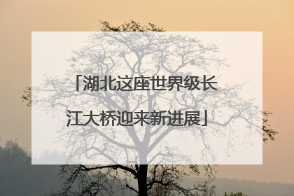湖北这座世界级长江大桥迎来新进展