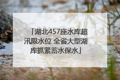 湖北457座水库超汛限水位 全省大型湖库抓紧蓄水保水