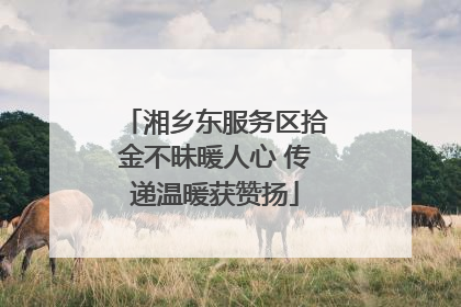 湘乡东服务区拾金不昧暖人心 传递温暖获赞扬